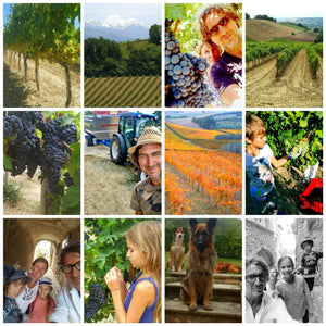 Darren Jenkins from Newport & his Welsh-Italian Wines
