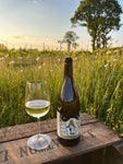 Olwen, 2024 - The Dell Vineyard