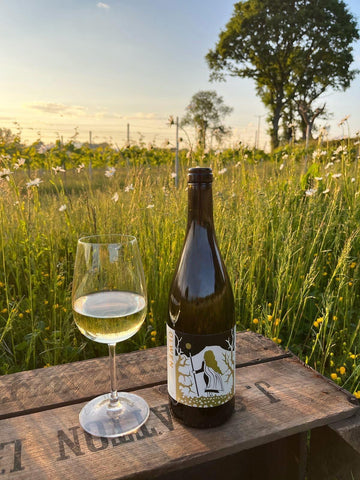Olwen, 2024 - The Dell Vineyard