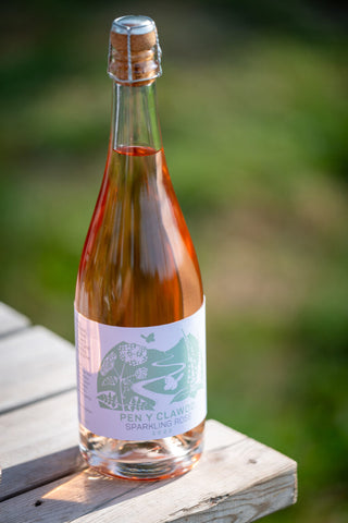 Pen y Clawdd Sparkling Rosé , 2023 - The Dell Vineyard