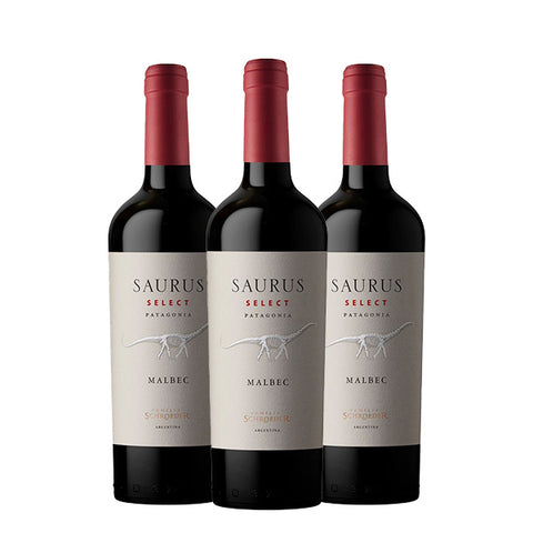 Patagonia Select Malbec Saurus, 2022